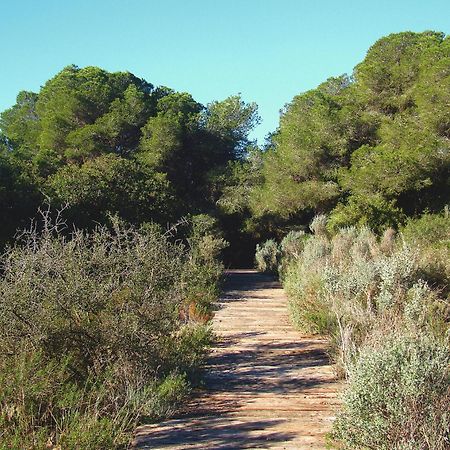 Albufera Dreams Nature Suites Valencia Luaran gambar