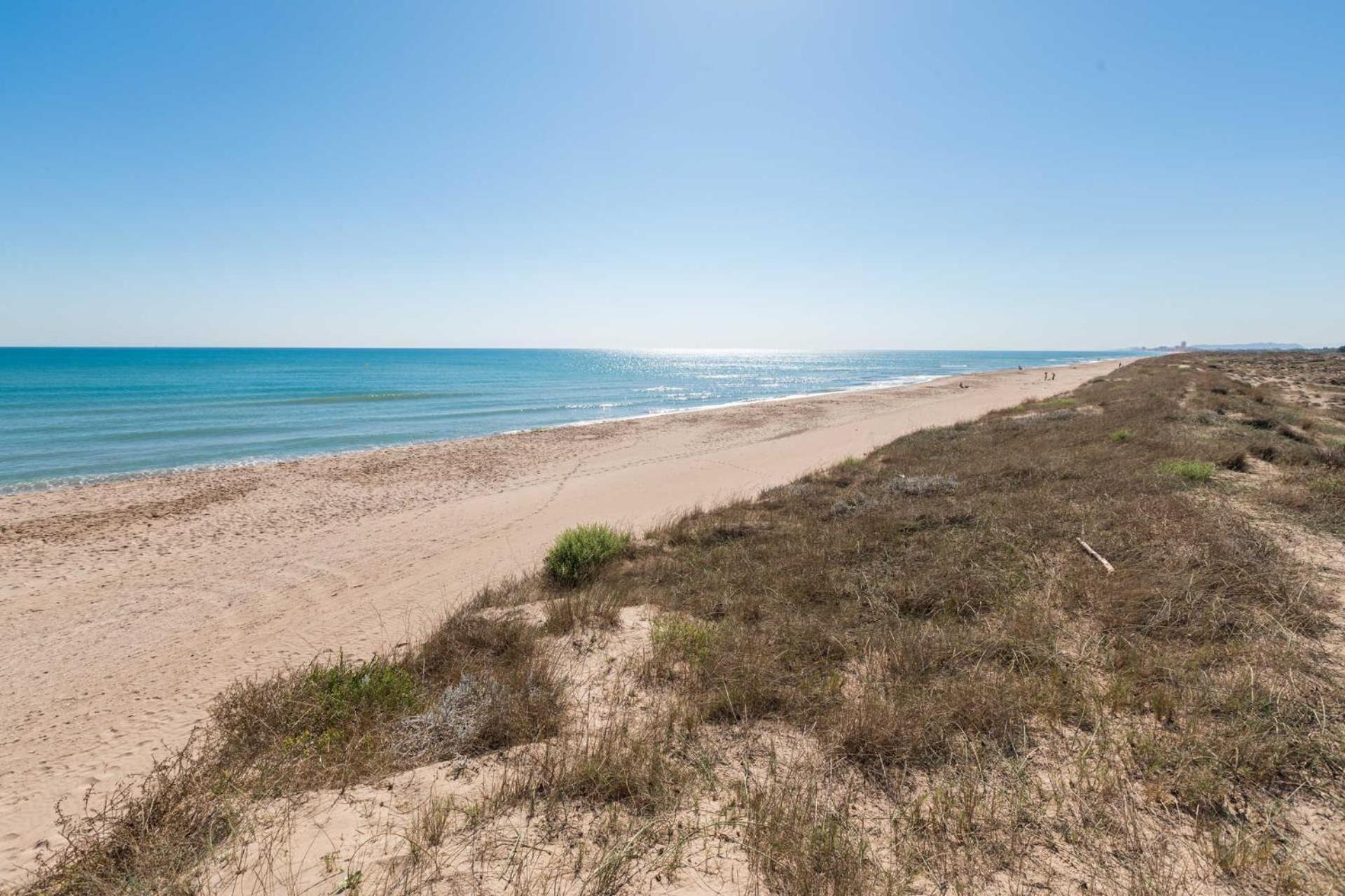Albufera Dreams Nature Suites Valencia Luaran gambar