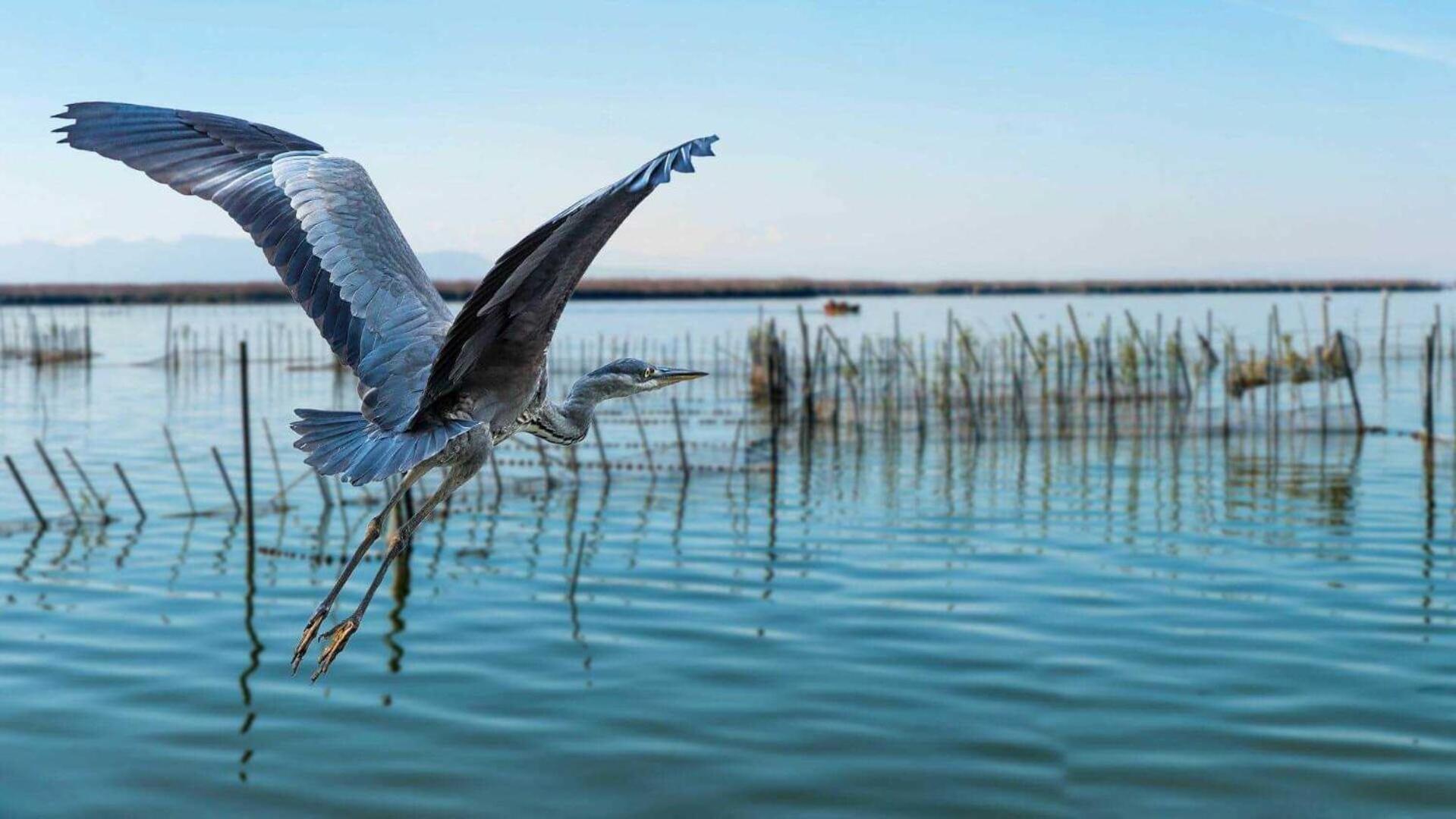 Albufera Dreams Nature Suites Valencia Luaran gambar